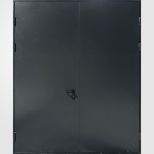Metalinės durys DSA X2 Nr. 24.8170