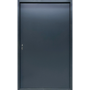 Metalinės lauko durys DSA Nr. 24.4014